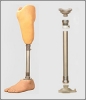 Artificial Limb (Below Knee Prosthetic Components)