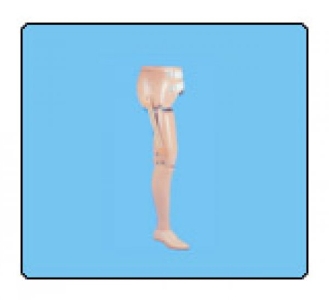 Conventional Hip disarticulation Prosthesis
