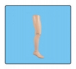 Conventional Transfemoral Prosthesis