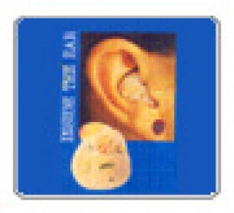 Hearing Aid (Inside the Ear)