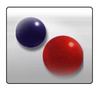 Physio Ball (R.E.A-11)