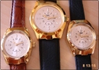 Pilatus (Gold) Gold Plated Braille Watch
