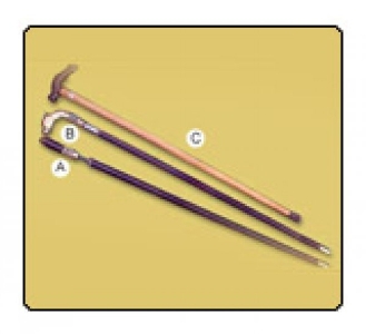 Sword Canes / Sword Stick