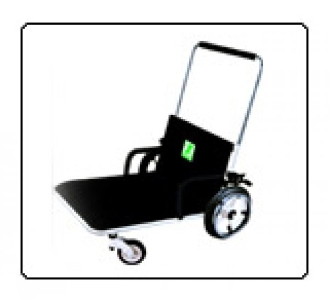 Wheelchair ( Ground Mobility)