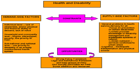 Demand and supply side linkages in health and disability